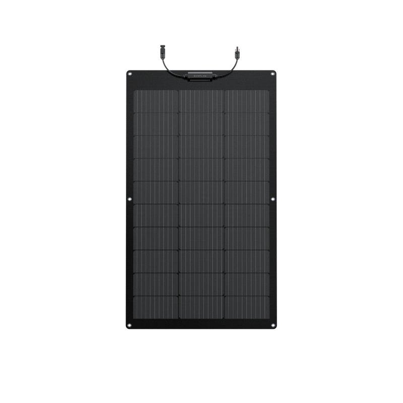 EcoFlow 100W Flexible Solar Panel