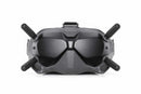 DJI FPV Goggles V2.0